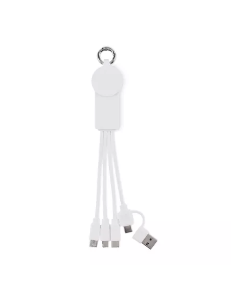 2 in 1 charging cable type-C ICAB