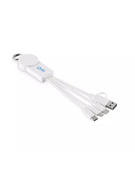2 in 1 charging cable type-C ICAB