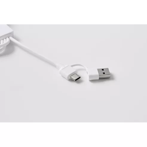 2 in 1 charging cable type-C ICAB