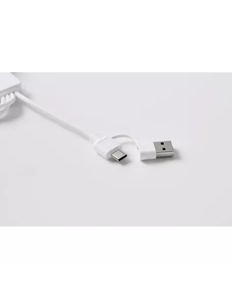 2 in 1 charging cable type-C ICAB