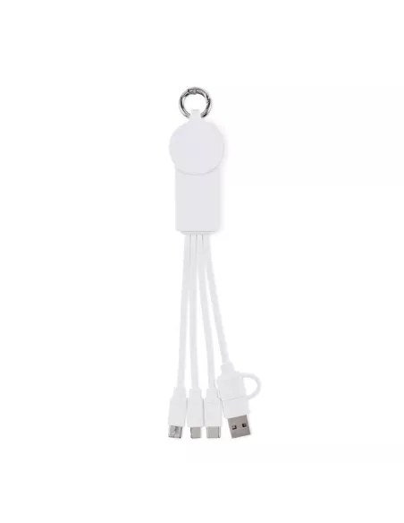2 in 1 charging cable type-C ICAB
