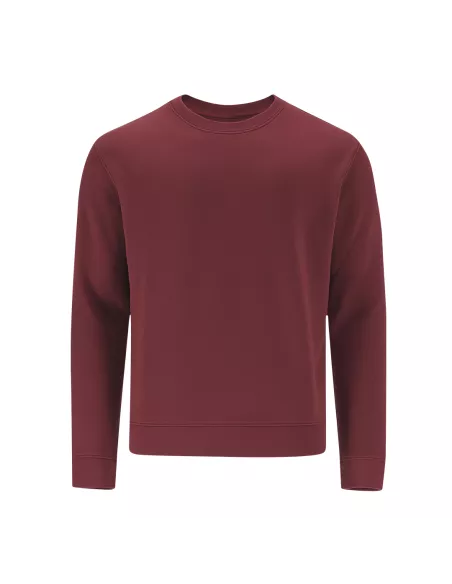 Adult Sweatshirt Cosmos