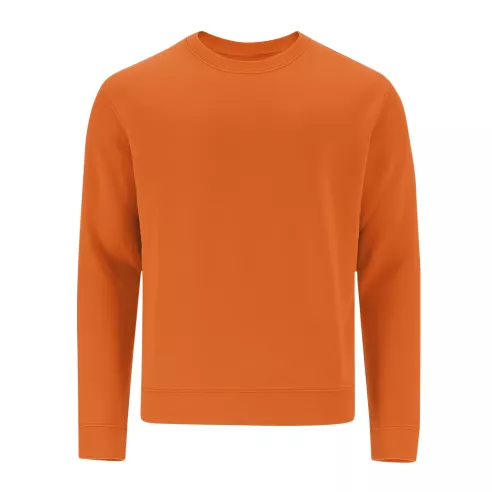 Adult Sweatshirt Cosmos