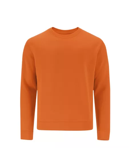 Adult Sweatshirt Cosmos