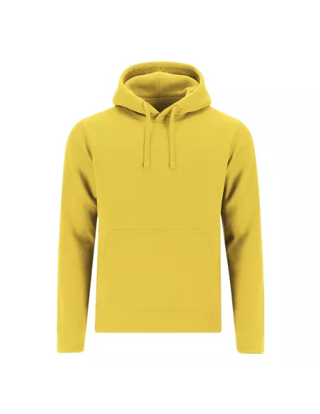 Adult Sweatshirt Draco