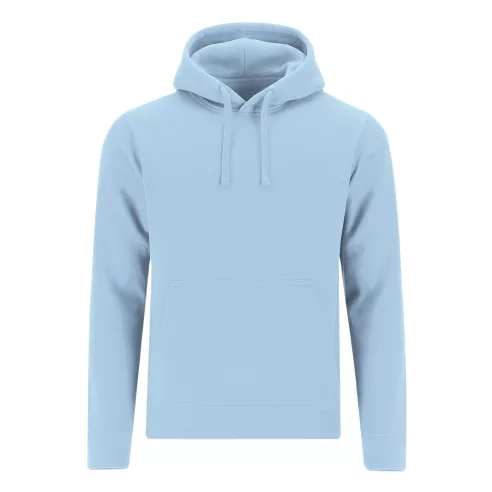 Adult Sweatshirt Draco