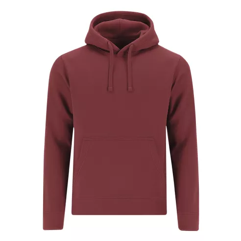 Adult Sweatshirt Draco