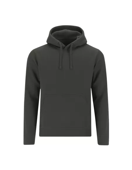 Adult Sweatshirt Draco