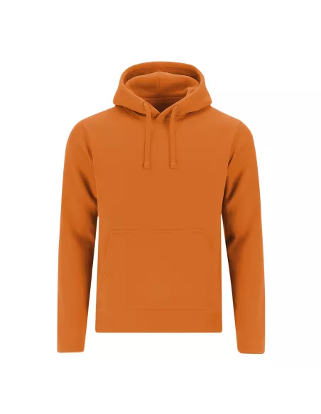 Adult Sweatshirt Draco