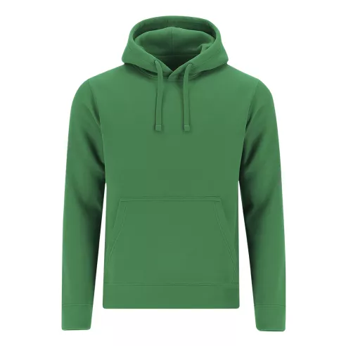 Adult Sweatshirt Draco