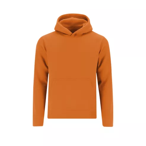 Kids Sweatshirt Draco