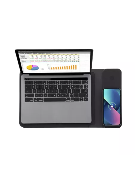 Multifunction Laptop Pouch Benrix