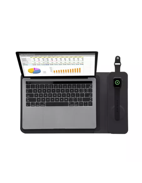 Multifunction Laptop Pouch Benrix