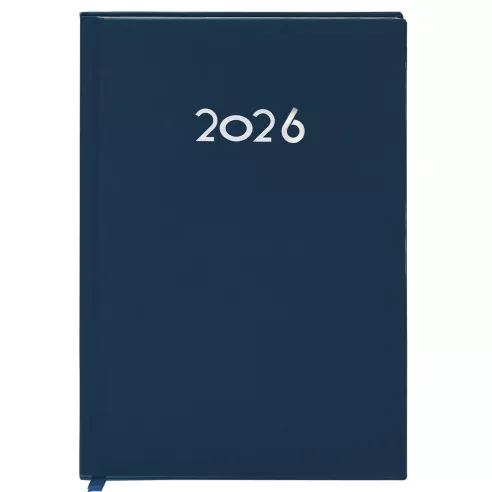 Diary Canek
