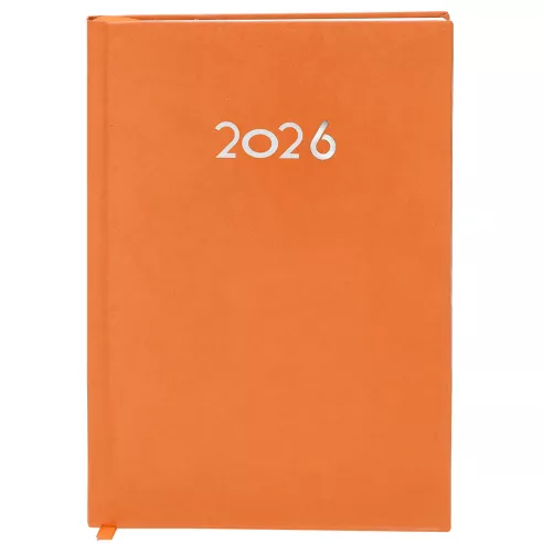 Diary Canek