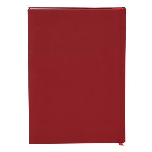 Diary Canek