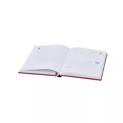 Diary Canek