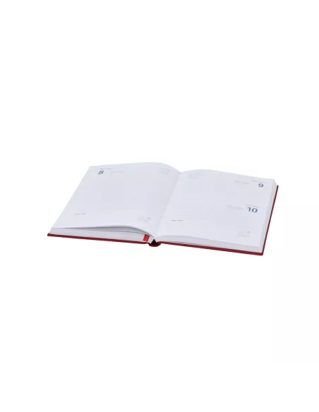 Diary Canek