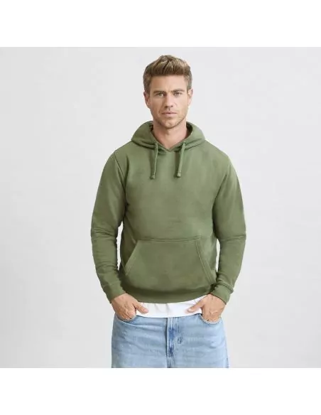 Adult Sweatshirt Draco
