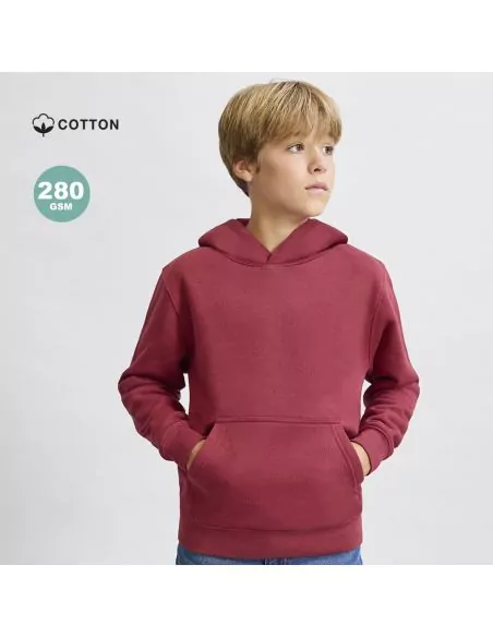 Kids Sweatshirt Draco