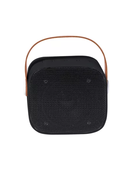 Speaker Matjoy