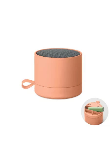 5.1 Wireless speaker RECAR