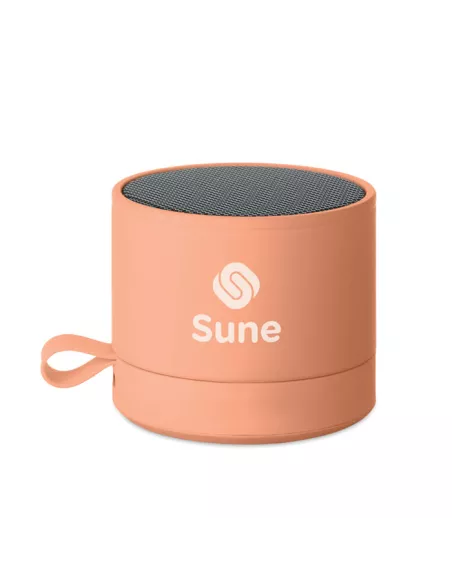 5.1 Wireless speaker RECAR