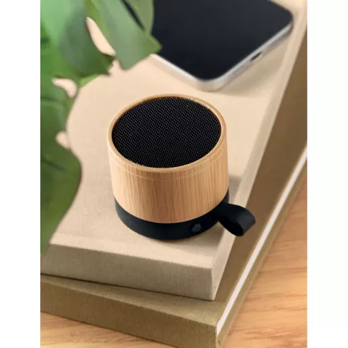 5.1 Wireless speaker RECAR BAMBOO