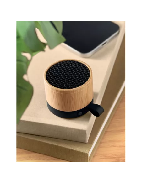5.1 Wireless speaker RECAR BAMBOO