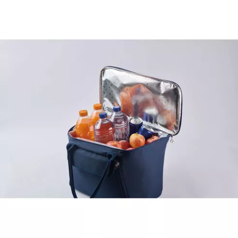 RPET picnic cooler bag FORUS
