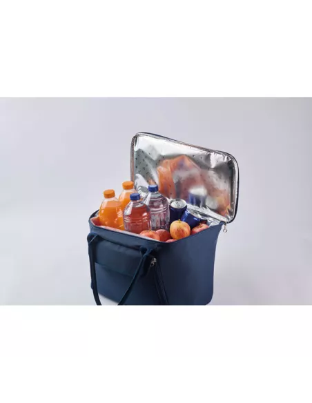 RPET picnic cooler bag FORUS