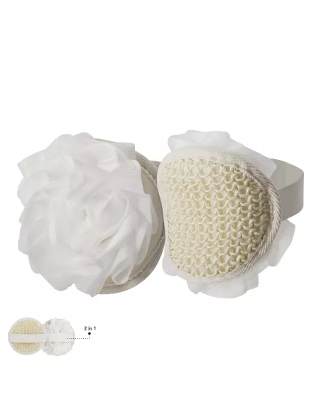 Exfoliating Sponge Worin
