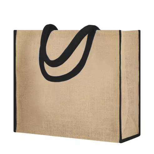 Bag Vasan