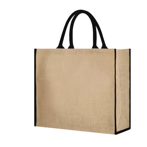 Bag Vasan