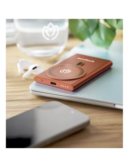 Wireless charger power bank PAWTT