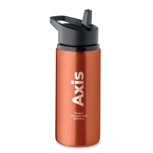 Single wall bottle 500 ml SPOT