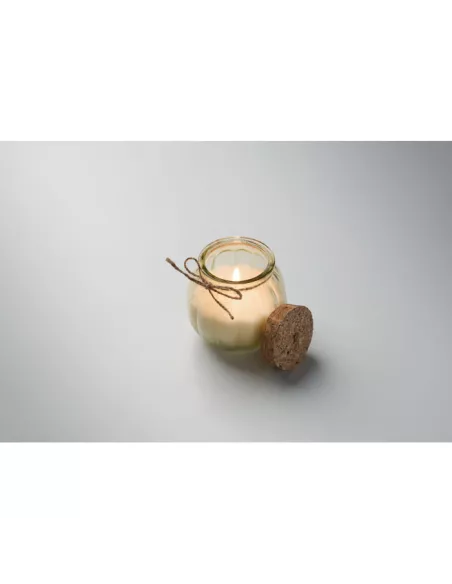 Vanilla plant based wax candle PUMKIN