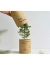 Árbol de navidad en envase de cartón personalizado | Treetube - BR001