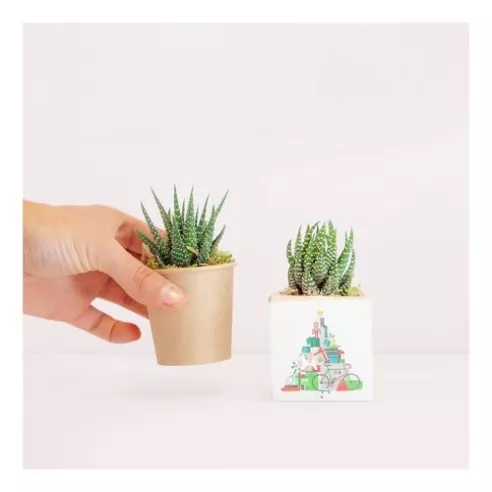 Cactus en recipiente biodegradable personalizado con tu logo