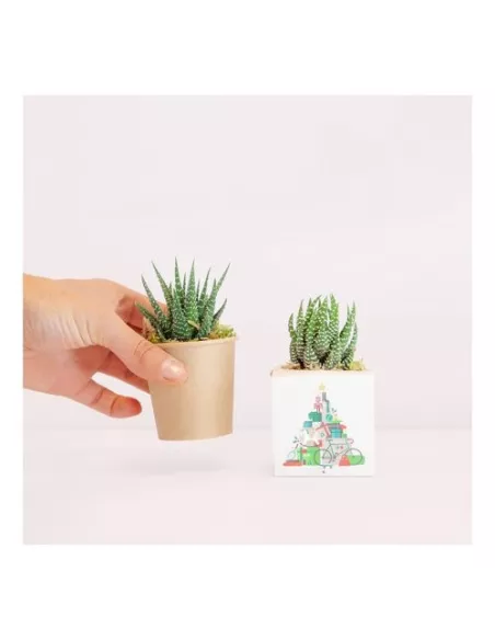 Cactus in a biodegradable container customized with your logo