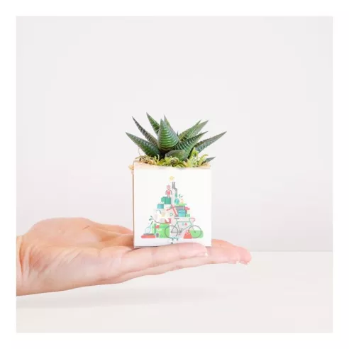 Cactus in a biodegradable container customized with your logo