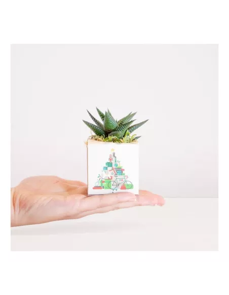 Cactus en recipiente biodegradable personalizado con tu logo