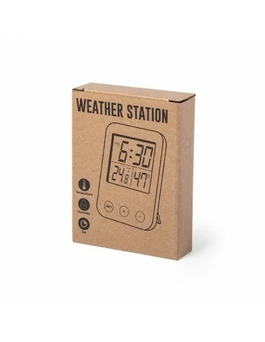 Weather Station Helein | 6516