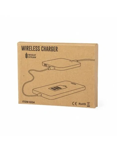 Charger Riens | 6534