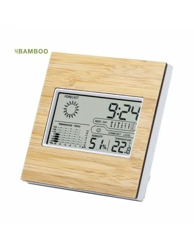 Weather Station Behox | 6806